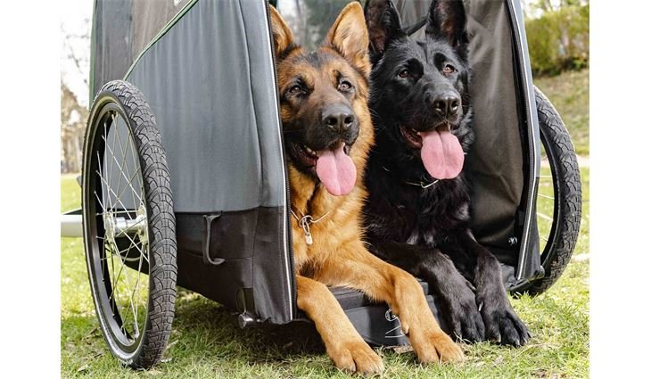 CROOZER Hundeanhänger Dog Bruuno bis 45kg groß