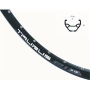 RYDE Laufrad VR Boost 29" Taurus 21 Disc Steck 15mm