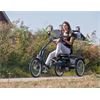 Van Raam Elektro Dreirad Easy Rider Sonder Test
