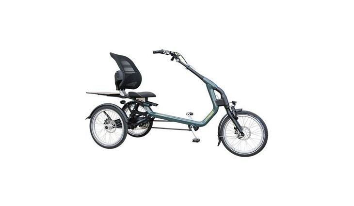 Van Raam Elektro Dreirad Easy Rider Sonder